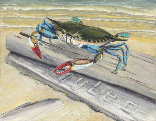Tybee Crab