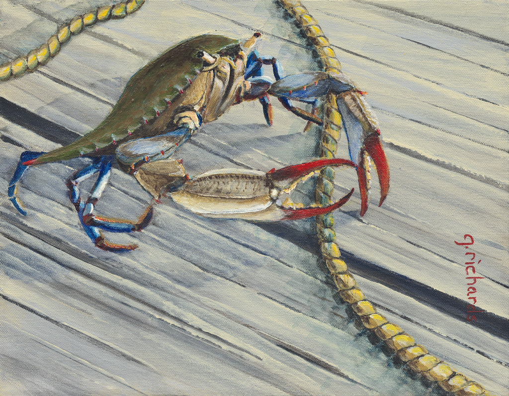 Crab Rope One #85 – Seareelart