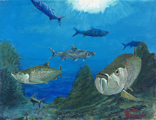 Tarpon Shoals Painting #100