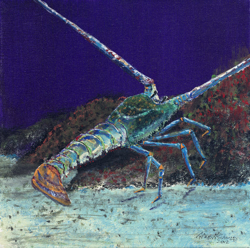 Lobster on Rock #10