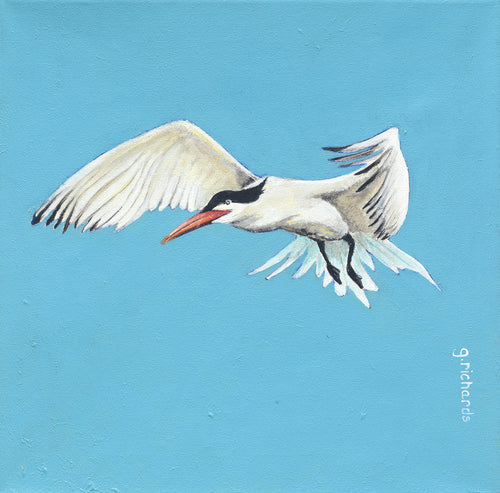 Blue Tern Painting #111