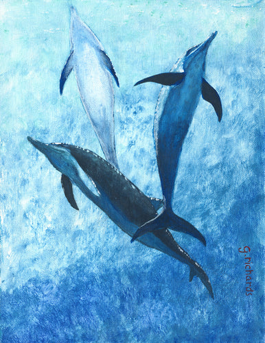 Dolphin Three #113