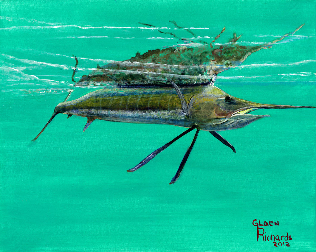 Sailfish Reflection #12