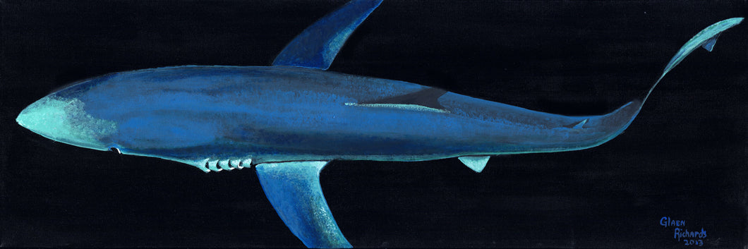 Shark/Deep Blue  #16