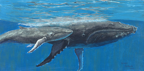 Whale and Calf #18
