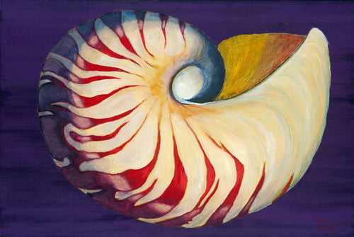 Nautilus Shell... Yellow Nautilus on Purple #23