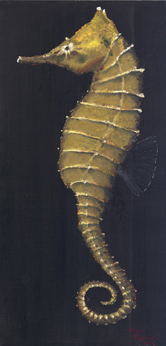 Seahorse Gold #31