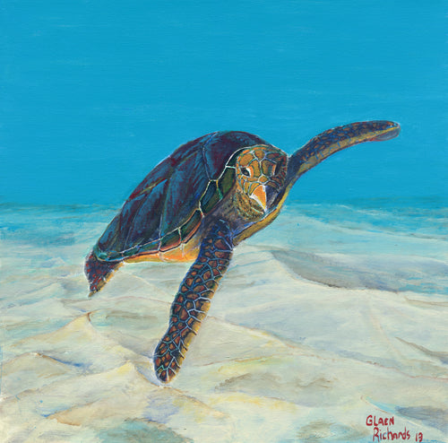 Sea turtle /Hawkbill Turtle #33