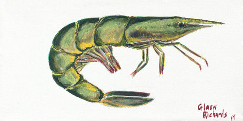 Shrimp Green on white  #39