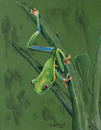 Frog/ Aloe Frog #41