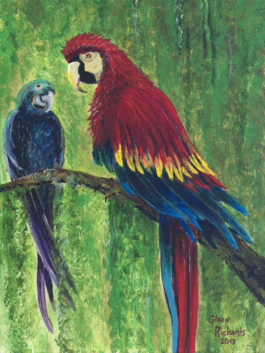 Parrot/ Goodmorning Parrots #44