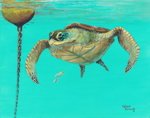 Turtle Buoy #59
