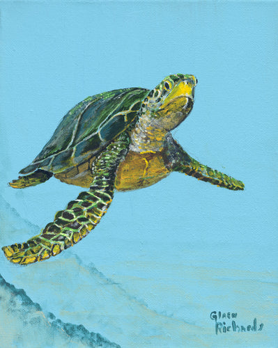 Green Turtle One #63