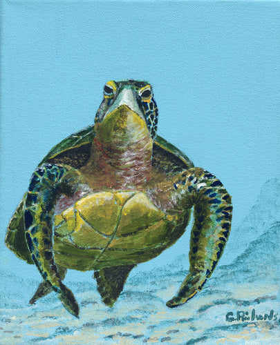 Green Turtle Two #64