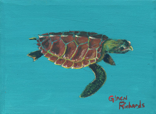 Seaturtle on Blue #73