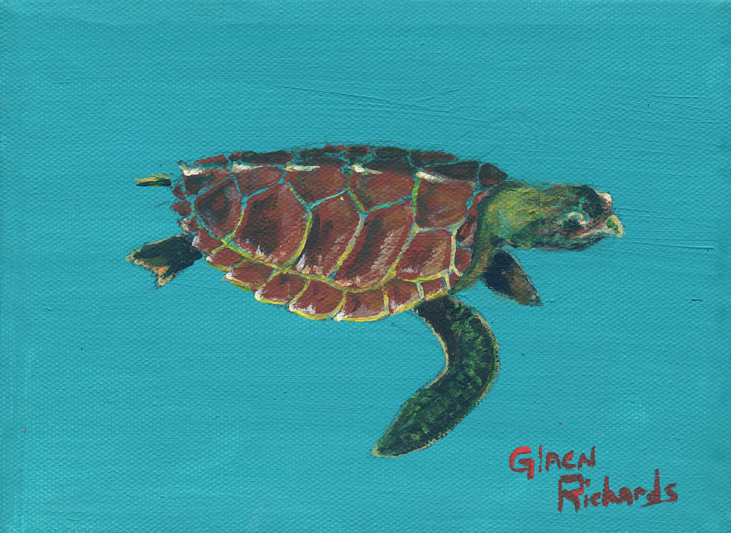 Seaturtle on Blue #73