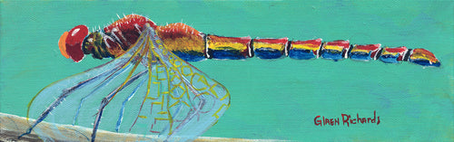 Dragonfly on Aqua #74