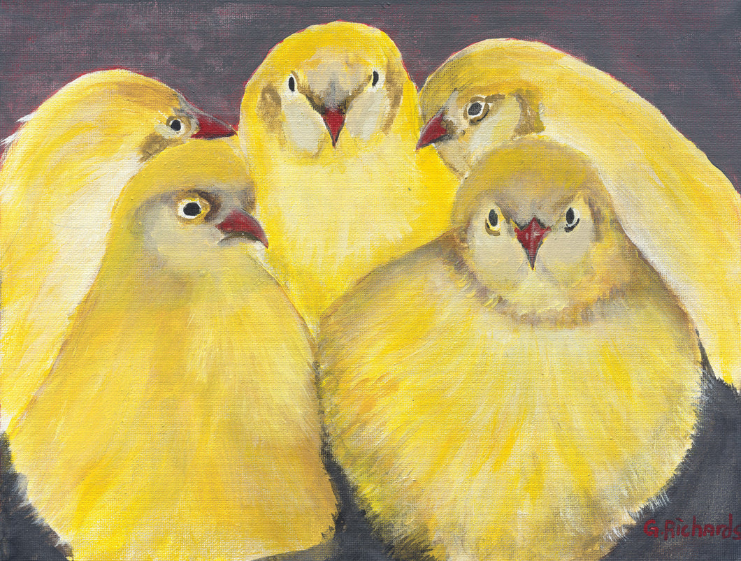 Baby Chicks #77