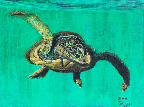 Turtle on Aqua #7