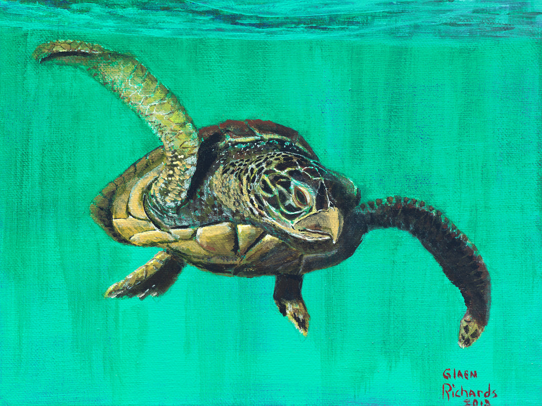 Turtle on Aqua #7