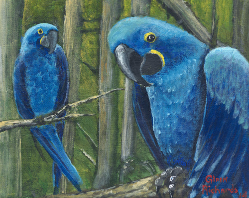 Blue Parrots #82