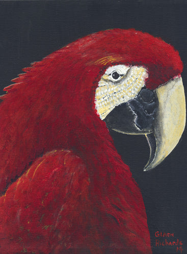 Red Parrot #84