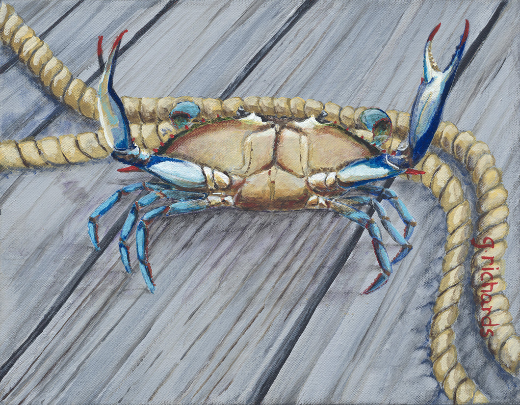Crab Rope Two #90 – Seareelart