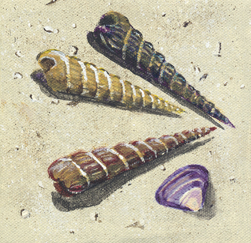 Sea Shells Two Painting #96