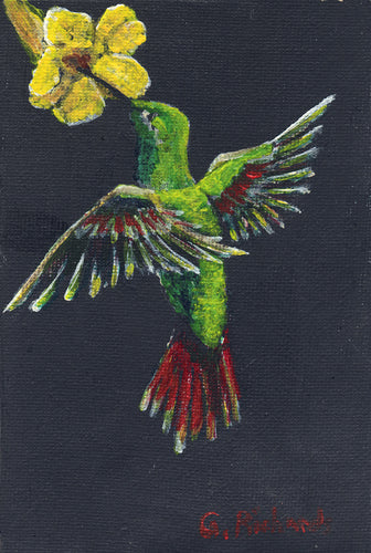 Hummingbird Painting #97
