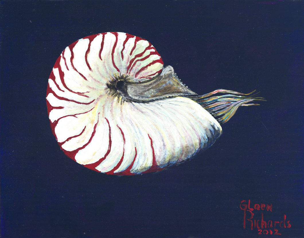 Live Nautilus #9